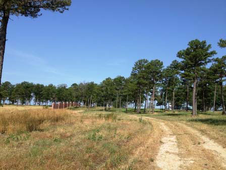 Bank Owned Properties - The Park4