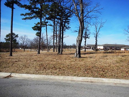 Bank Owned Properties - Park Drive Lots3